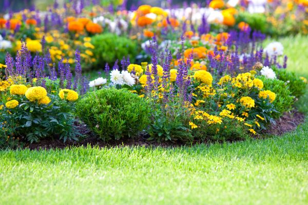 Flower Bed Maintenance in Chippewa Falls