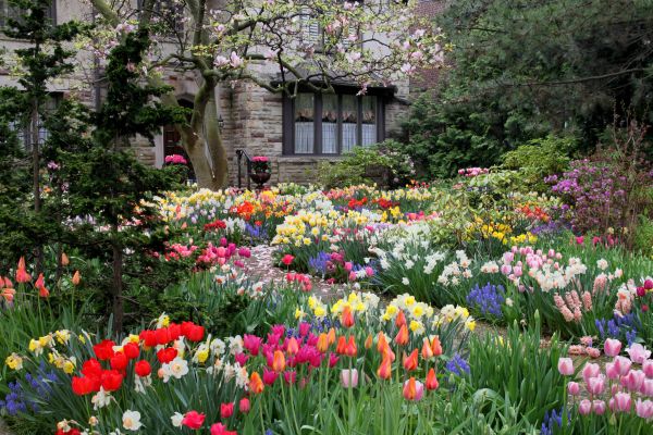 Garden Maintenance Service in Chippewa Falls