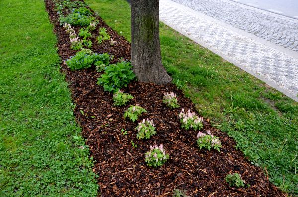 Mulch Replacement Service in Chippewa Falls
