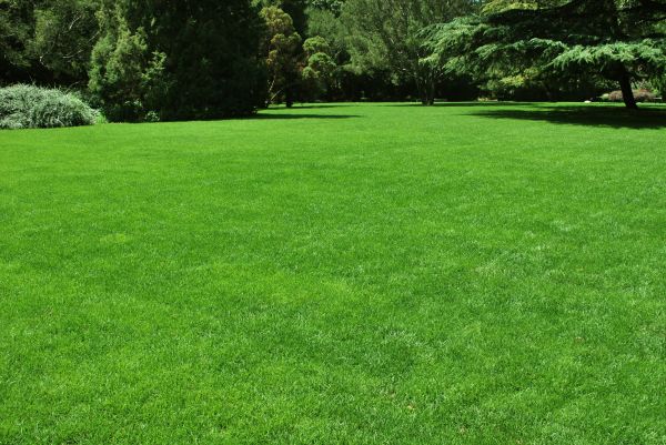 Lawn Landscaping in Chippewa Falls