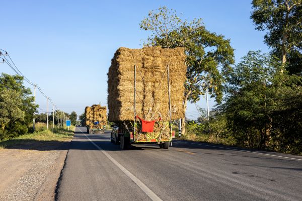 Pine Straw Delivery in Chippewa Falls