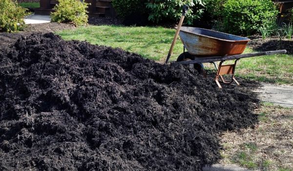 Black Mulch Delivery in Chippewa Falls