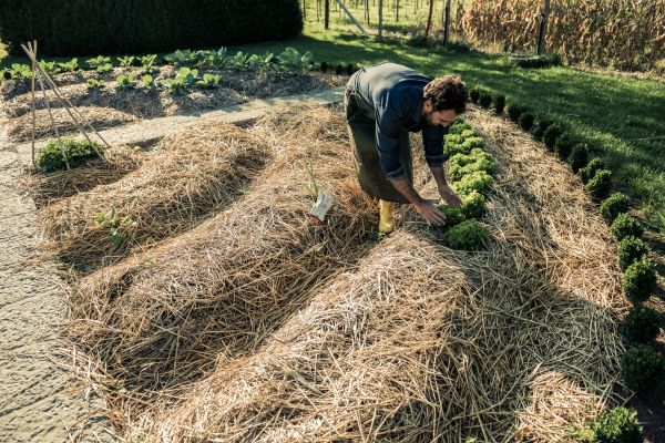 Straw Mulching Service in Chippewa Falls