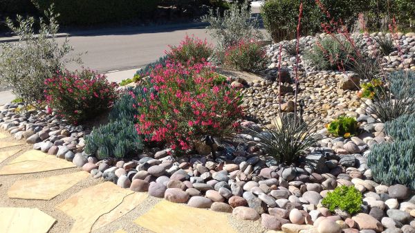 Xeriscape Landscaping in Chippewa Falls