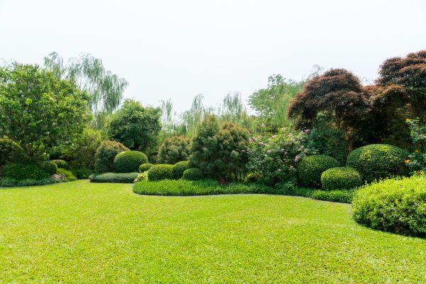 Tree Landscaping in Chippewa Falls