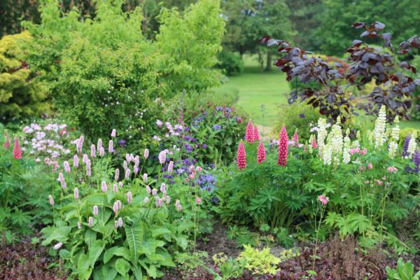 Flower Bed Planting in Chippewa Falls