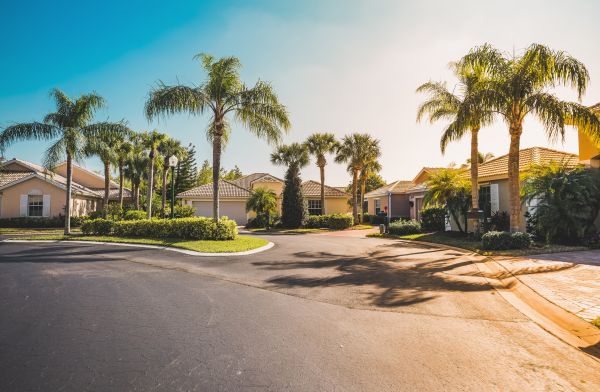 Palm Tree Landscaping in Chippewa Falls