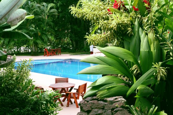 Tropical Garden Landscaping in Chippewa Falls