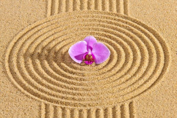 Sand Garden Landscaping in Chippewa Falls