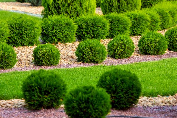 Bush Installation in Chippewa Falls