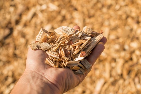 Wood Chips Spreading in Chippewa Falls