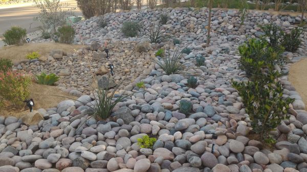Yard Xeriscaping in Chippewa Falls