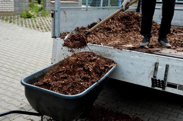 Cedar Mulch Delivery in Chippewa Falls