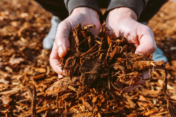 Bark Chips Delivery in Chippewa Falls