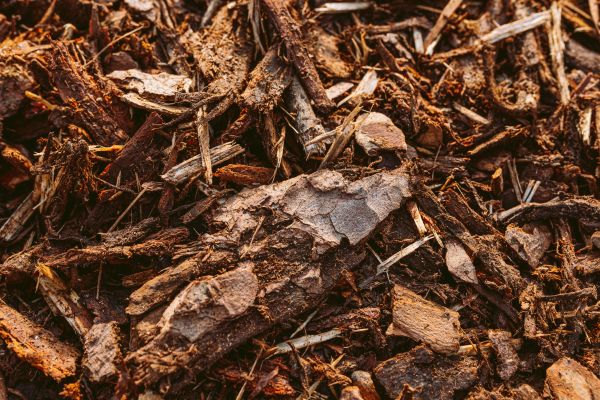 Bark Mulch Delivery in Chippewa Falls