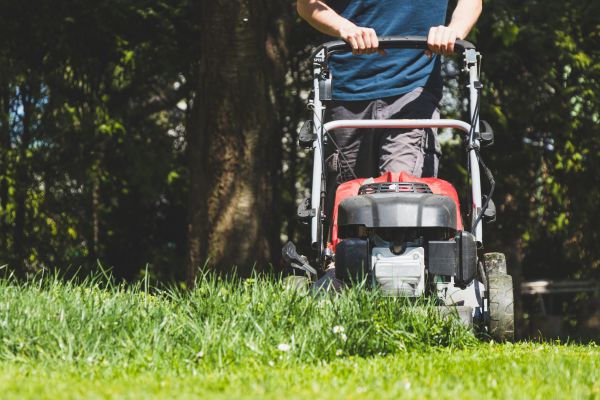 Garden Trimming Service in Chippewa Falls