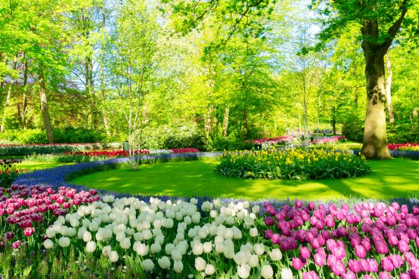 Flower Landscaping in Chippewa Falls