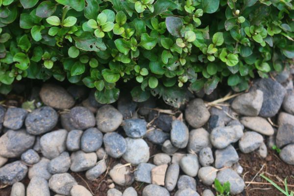 River Stone Installation in Chippewa Falls
