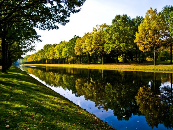 Bank Landscaping in Chippewa Falls