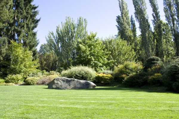 Yard Enlargement in Chippewa Falls