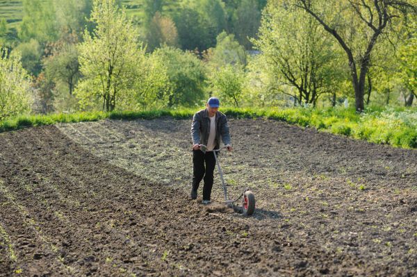 Plant Bed Weeding in Chippewa Falls