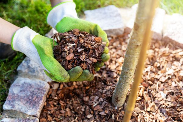 Tree Bark Delivery in Chippewa Falls