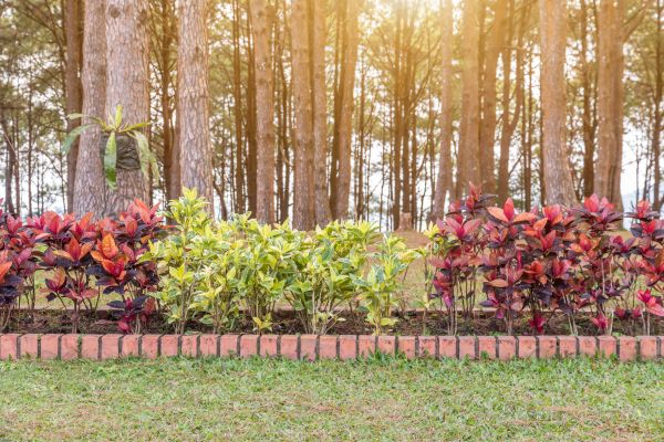 Small Garden Landscaping in Chippewa Falls