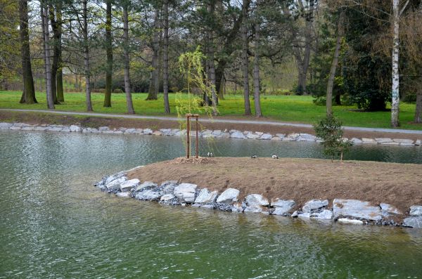 Pond Landscaping Service in Chippewa Falls