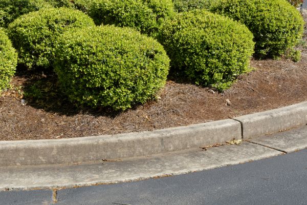 Pine Mulch Installation in Chippewa Falls