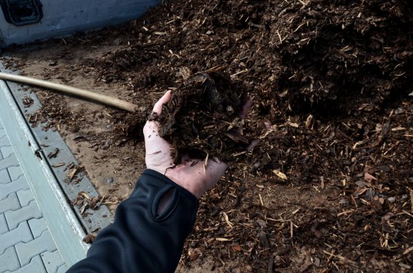 Condo Mulching in Chippewa Falls